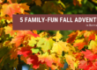 family-fun fall adventures in bermuda run
