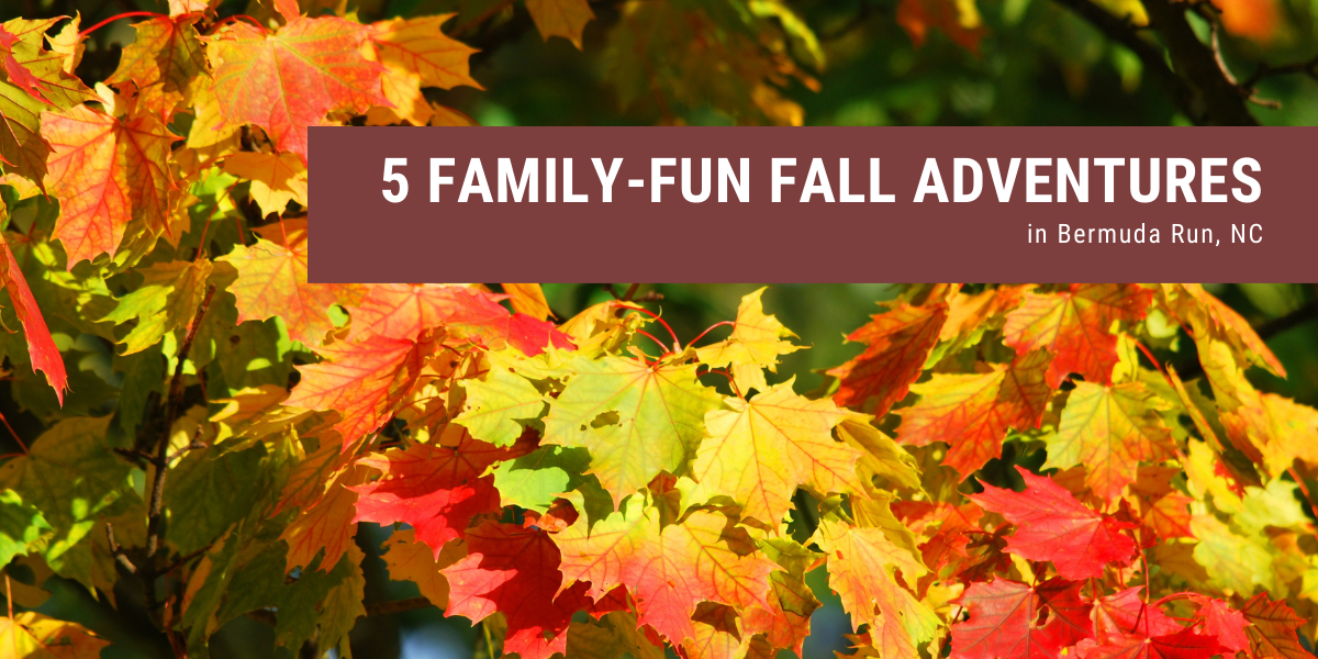 fall adventures family-fun fall adventures in bermuda run