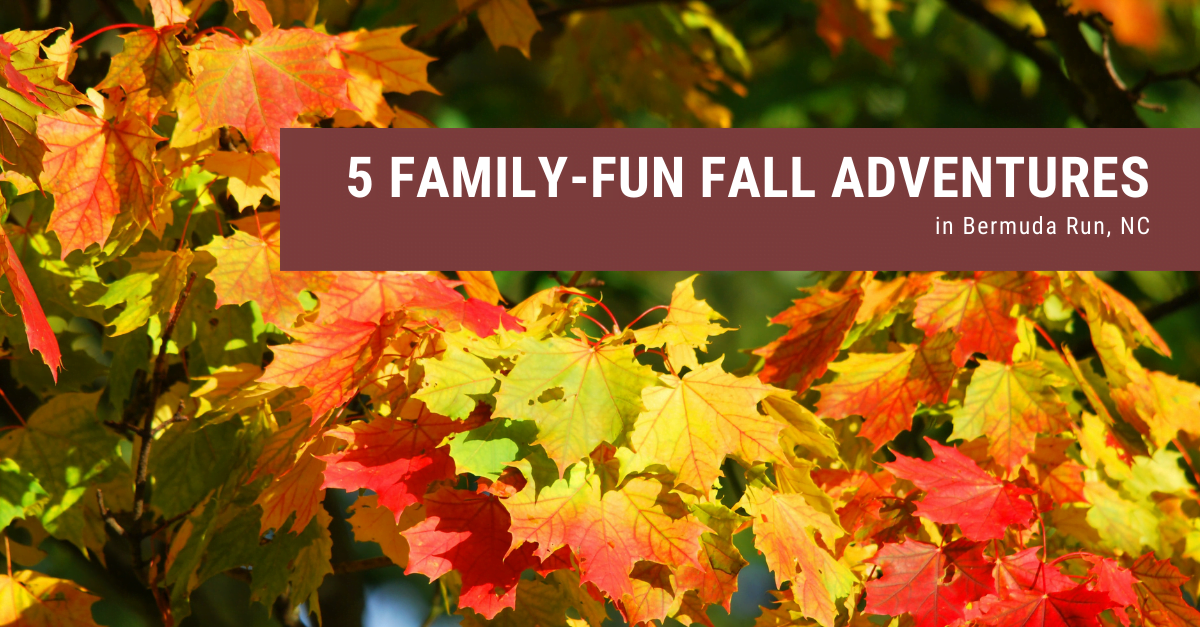 family-fun fall adventures in bermuda run